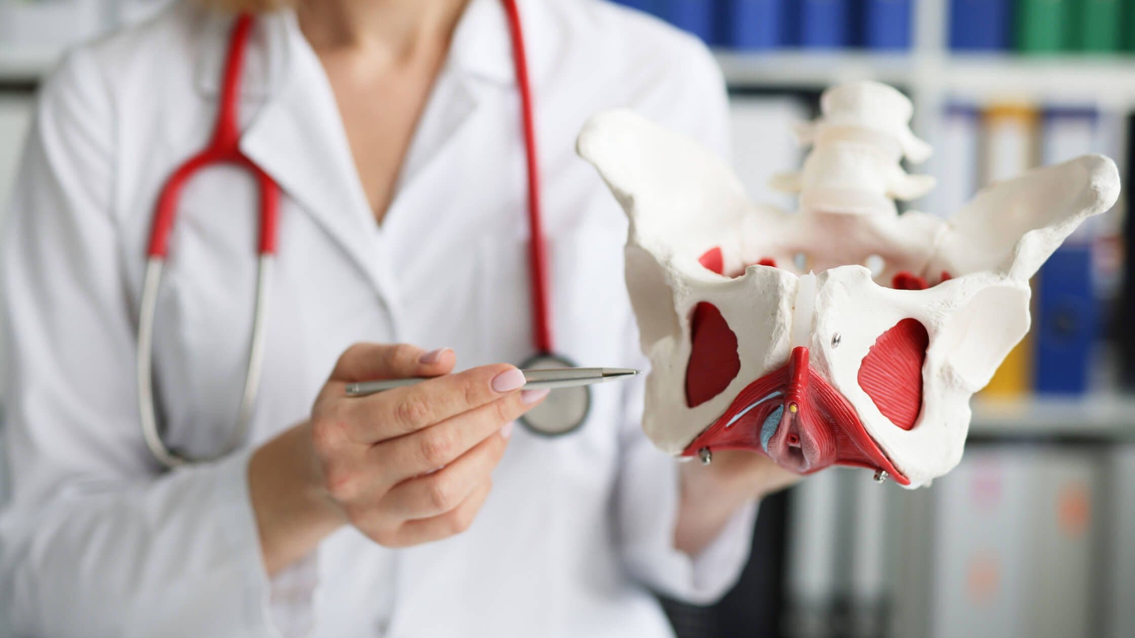 The VitaI Importance of Pelvic Health: Strengthening Your Core Well-Being